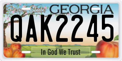 GA license plate QAK2245