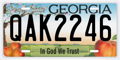 GA license plate QAK2246