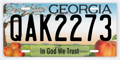GA license plate QAK2273