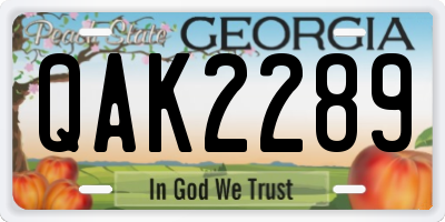 GA license plate QAK2289
