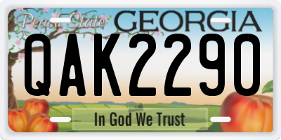 GA license plate QAK2290