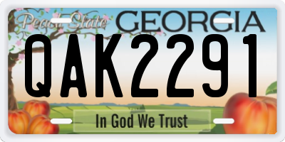 GA license plate QAK2291