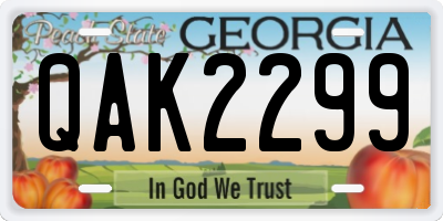 GA license plate QAK2299