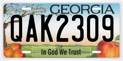 GA license plate QAK2309