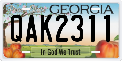GA license plate QAK2311