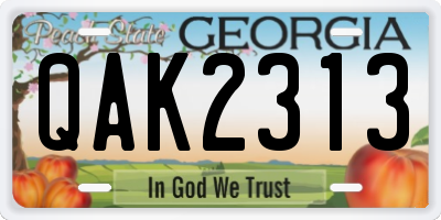 GA license plate QAK2313