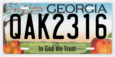 GA license plate QAK2316