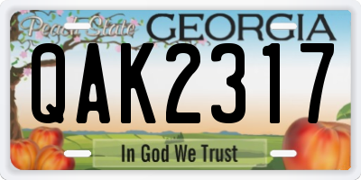 GA license plate QAK2317