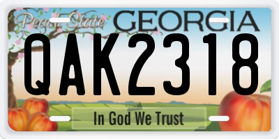 GA license plate QAK2318