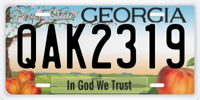 GA license plate QAK2319