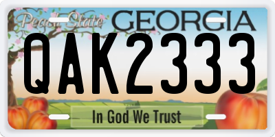 GA license plate QAK2333