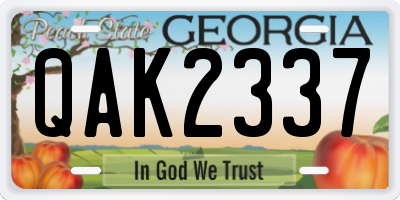 GA license plate QAK2337