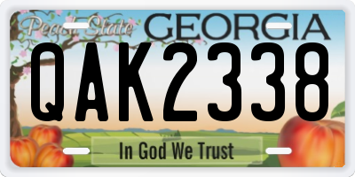 GA license plate QAK2338