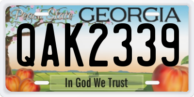 GA license plate QAK2339