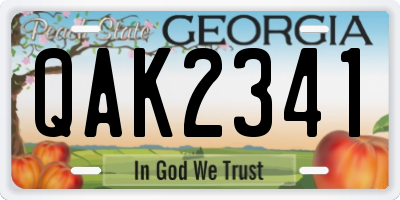 GA license plate QAK2341