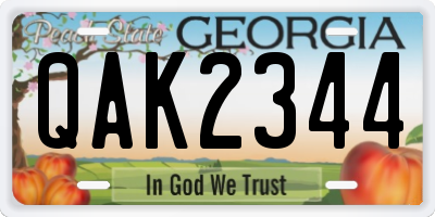 GA license plate QAK2344