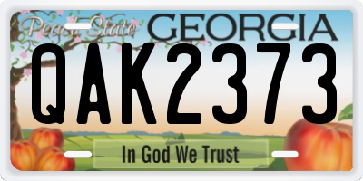 GA license plate QAK2373