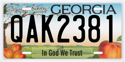 GA license plate QAK2381
