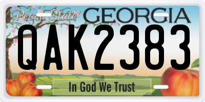GA license plate QAK2383