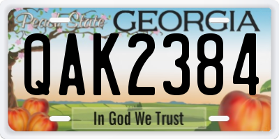 GA license plate QAK2384