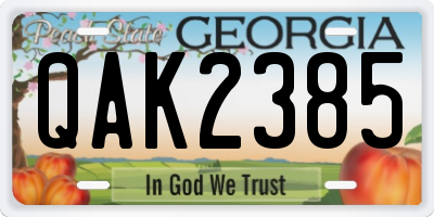 GA license plate QAK2385