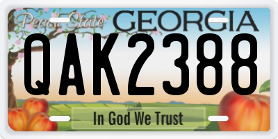 GA license plate QAK2388