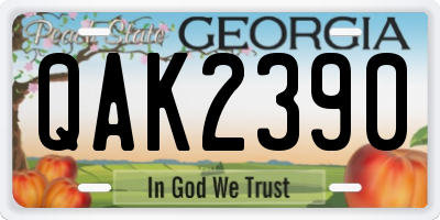 GA license plate QAK2390