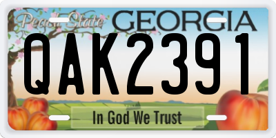 GA license plate QAK2391