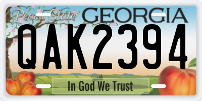 GA license plate QAK2394