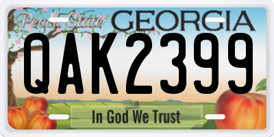 GA license plate QAK2399