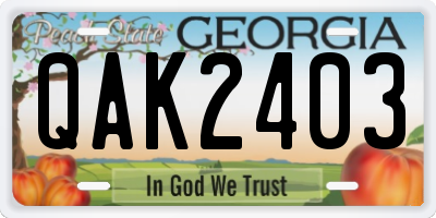 GA license plate QAK2403
