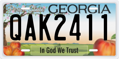 GA license plate QAK2411