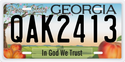 GA license plate QAK2413