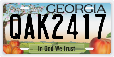 GA license plate QAK2417