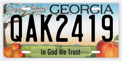 GA license plate QAK2419