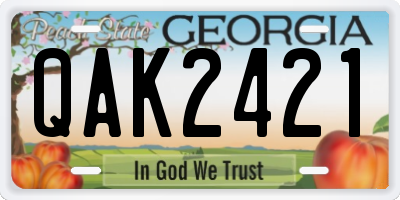 GA license plate QAK2421
