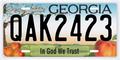 GA license plate QAK2423