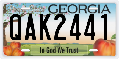 GA license plate QAK2441