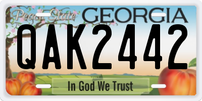 GA license plate QAK2442