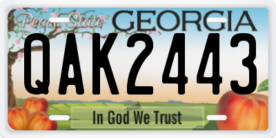 GA license plate QAK2443