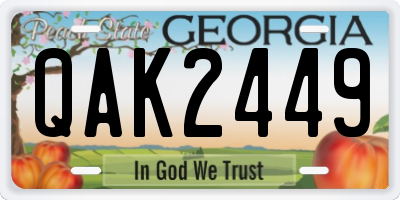GA license plate QAK2449