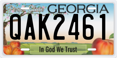 GA license plate QAK2461