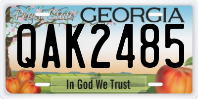 GA license plate QAK2485