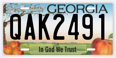 GA license plate QAK2491