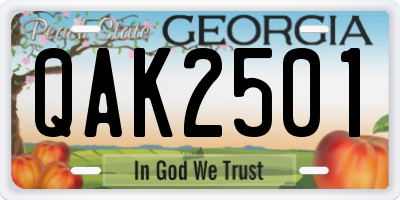 GA license plate QAK2501