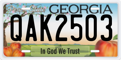 GA license plate QAK2503