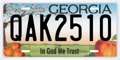 GA license plate QAK2510