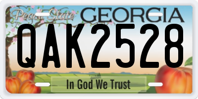 GA license plate QAK2528