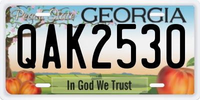 GA license plate QAK2530