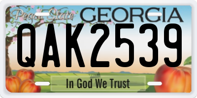 GA license plate QAK2539